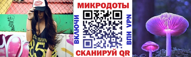мега ССЫЛКА  Калининец  Псилоцибиновые грибы Psilocybe 